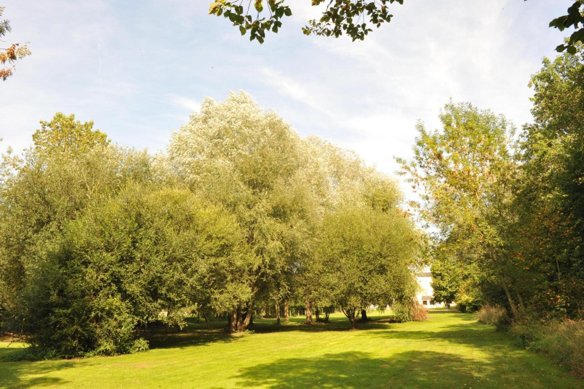 Logis Hotel Le Relais Du Moulin Valençay Dış mekan fotoğraf